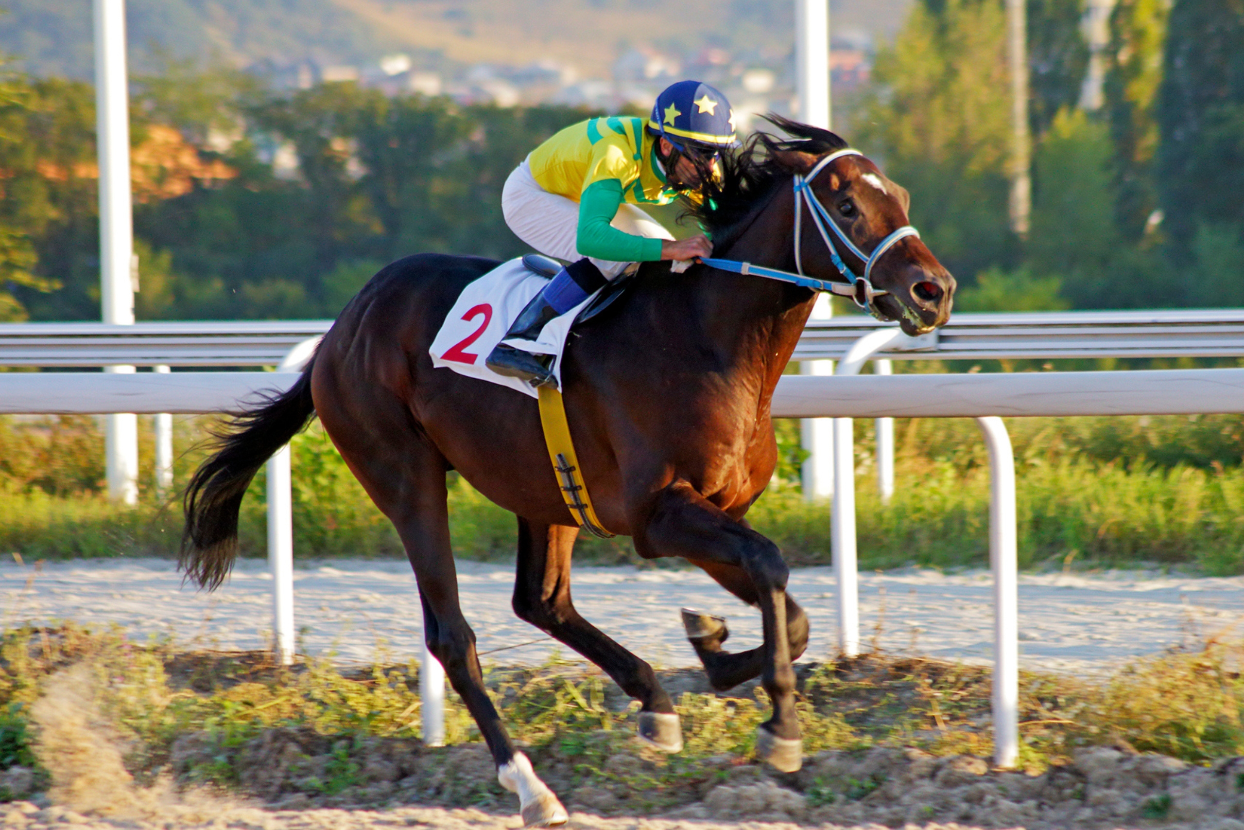 RedHotRaceTips - How To Find The Best Free Horse Racing Tips