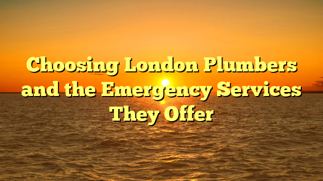 Choosing London Plumbers and the Emergency Services They Offer