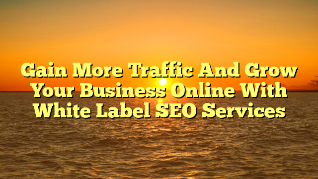 Gain More Traffic And Grow Your Business Online With White Label SEO Services