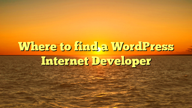 Where to find a WordPress Internet Developer